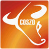 Expansion and Relocation Upgrade Coszo Casting Service Level