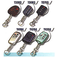 3 & 4Button Series Transmitters