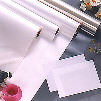 Clear Transparent Polyester Film (Adhesive & Non-Adhesive)