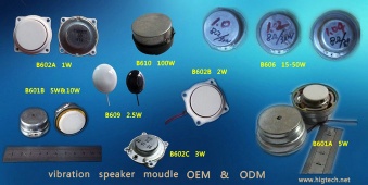 vibration speaker moudle