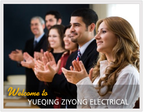 Wenzhou Ziyong Electrical Co.,Ltd