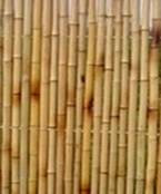 bamboo fence  screen,trellis,poles