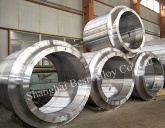 nickel alloy forgings