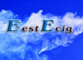BestEcig Electronic Technology Co., Ltd.
