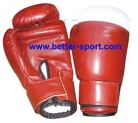 Boxing/MMA glove
