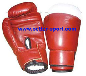 Boxing/MMA glove