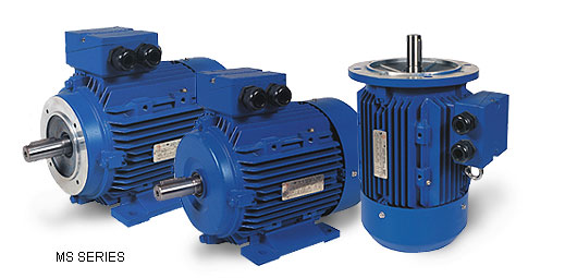 A.C. three phase electric motor