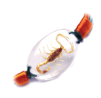 insect amber jewelry bracelets bangle