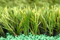 Artificial Turf & Grass