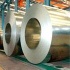 galvanzied steel sheet & coil