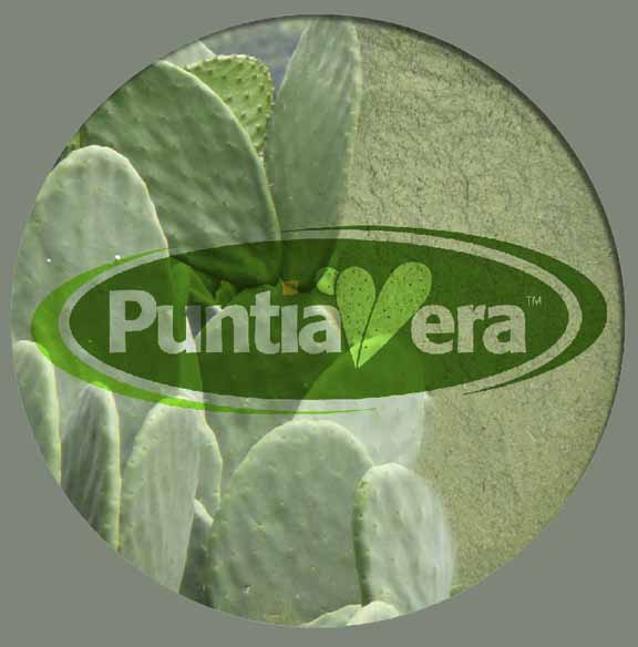 PuntiaVera® Nopal Powder