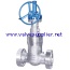 cast steel gate valve - cast steel valve