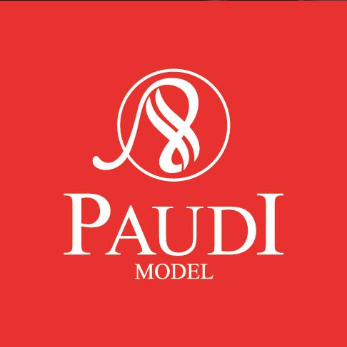 Guangzhou Paudi Model Technology Ltd.