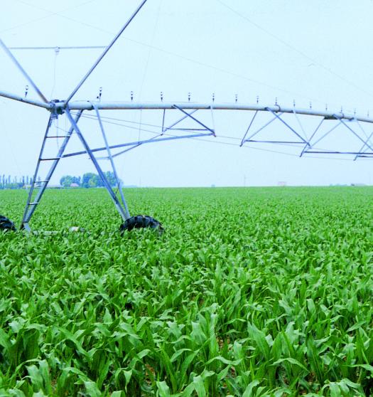 Dear Sirs,To buy center pivot irrigation system or lateral(linear)move with 