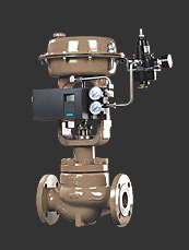  DTS sinle-seated control valve