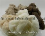 Cashmere fibre, Camel hair, wool