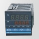Temperature controller - REX