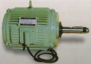 YLT, YLZ and YSCL Series Three-phase Induction Electric Motors 