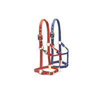 Halters, Lead Lines, Girths, Leashes, Collars