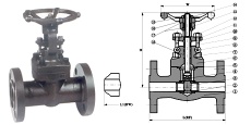 valve & pipe fittings