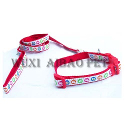 dog collar&leash