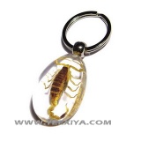 Scorpion Acrylic Key chain