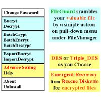 Encrypt files with DES from "File Manager" pull-down menu