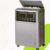 Celsius Ice Cooler / Humidifier - WF-907, WF-907R