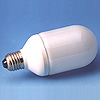 Compact Fluorescent Lamp