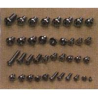 Stainless Steel Precision Screw
