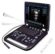 Ultrasound Scanner  for Veterinary