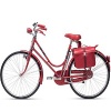 Vintage Bicycle Dutch Design Lady Bicycle