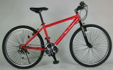 MTB 700c *540mm Steel Frame     Bicycle