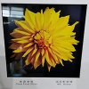 Anti-Reflective For Picture Frame - AR Glass1