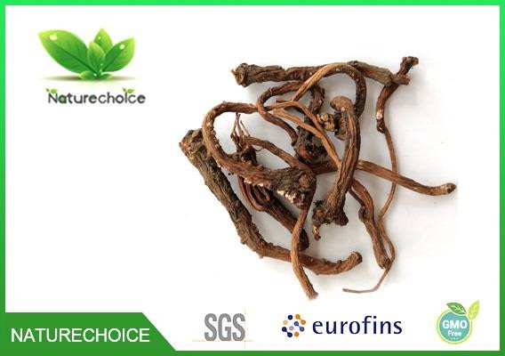 English Name: 100% Certified Organic Dandelion Root  Chinese Name: Pugongyinggen  Latin Name: Taraxacum mongolicum Hand.-Mazz  Specification :  100% Natural Chinese Herb Medicine Dried Dandelion Root Slices ,Cut and Powder  Cut: 0.3cm 0.5cm 0.8cm (Roasted or not Roasted)