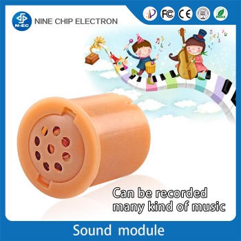 Recordable Sound squeeze box