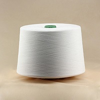 Super Quality Ne 30/1 100% Polyester Spun Yarn
