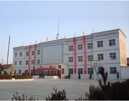 Jinan Runyijia Industry Trade Co., Ltd.