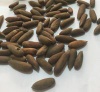 Raw Chilgoza Pine Nuts