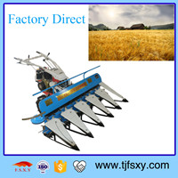 harvesting paddy/wheat