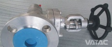 stainless steel check valves Stainless Steel Globe Valve