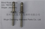 Dia. 3/16 - 1/4 stainless steel blind rivet for automotive and roof construction industry - Rivet