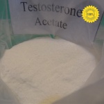 buy Testosterone Propionate Steroids