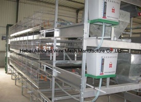 Chicken cages equipment