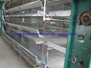 Full Automatic Chicken Battery Cage For Farm