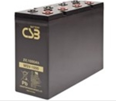 CSB Battery MSV Series MSV1000
