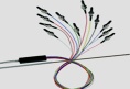 fiber optic ribbon patchcord pigtail & patch cord