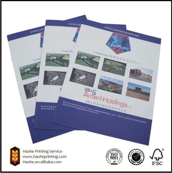 Company Brochure Print