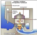 Hydro Turbine-Kaplan turbine