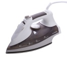 Steam Iron for hotel